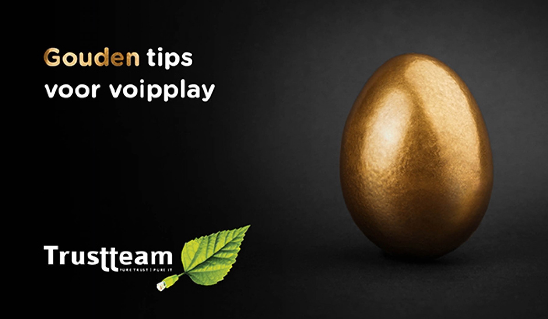 Gouden tips voor Voipplay
